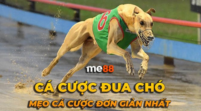 Quá trình Xoso66 giành lại vị thế thống trị trên thị trường game - Xoso66