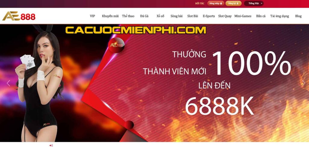 Phương pháp cá cược Pkwin được giải thích chi tiết - Pkwin