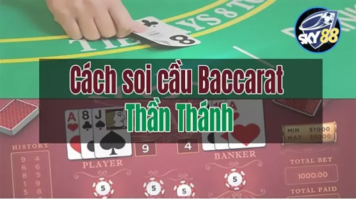 Cơ cấu thưởng và khuyến mãi Kuvip - Kuvip