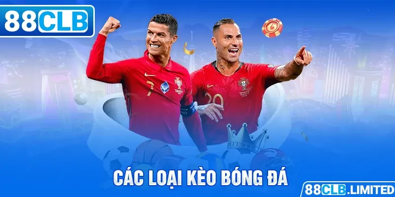 Dự báo vận may năm 2026: Hổ, Trâu, Chuột | Vòng quay may mắn | Thưởng gấp 1000 lần - Haywin