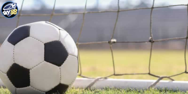Tại sao bạn nên chọn đặt cược vào các công ty cá cược được xếp hạng 8Xbet? - 8Xbet