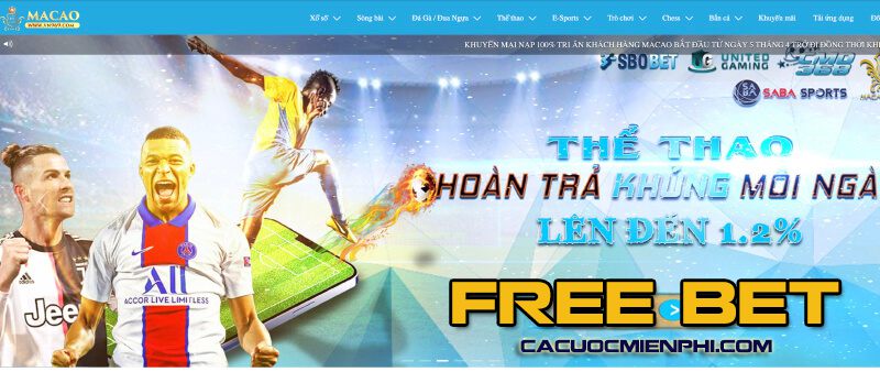 Link đăng nhập 009Bet chính thức mới nhất dành cho người chơi - 009Bet