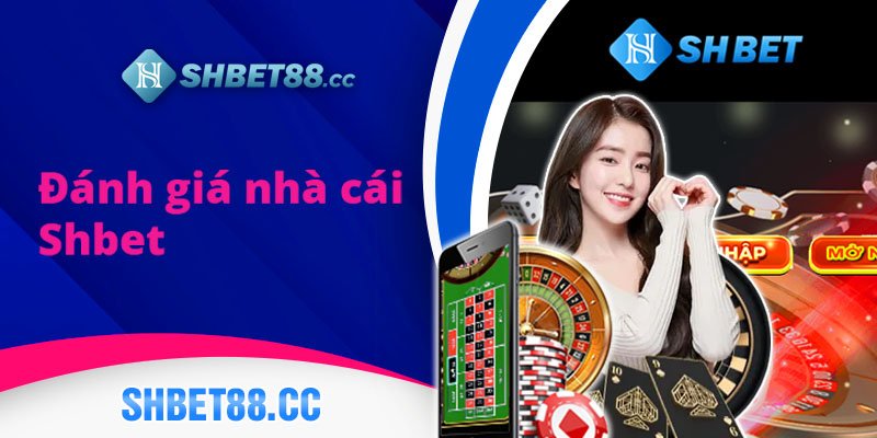 Tổng quan về thương hiệu Okking - Okking