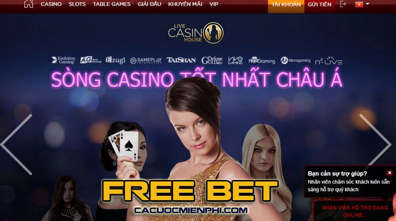 Cộng đồng I9bet có quy mô như thế nào? Mức độ hoạt động của cộng đồng ra sao? - I9bet