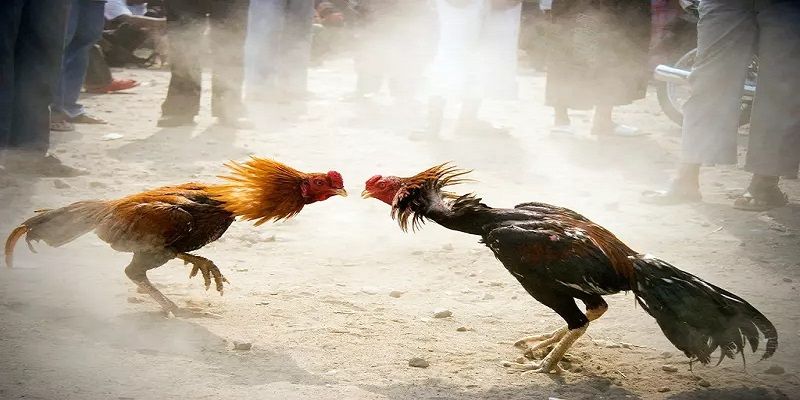 Giới thiệu ngắn gọn về Sodo: một cổng thông tin game hàng đầu và uy tín - Sodo