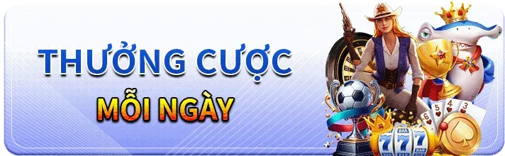 Xvip, các bạn cung cấp những dịch vụ gì? - Xvip