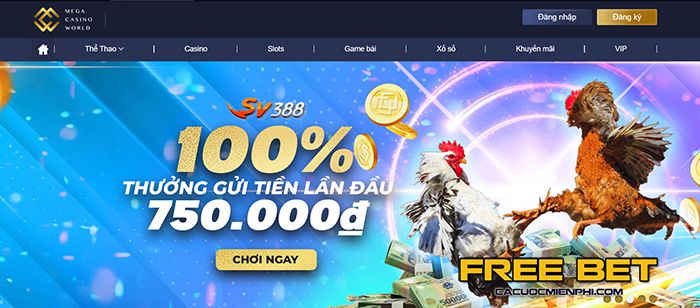 Nền tảng Vip88 cung cấp những hoạt động quảng bá nào? - Vip88