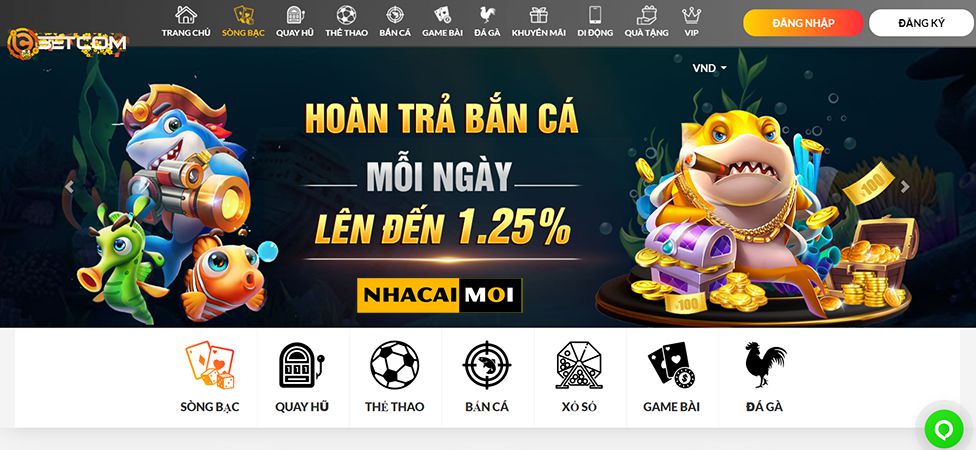 Nền tảng 789P cung cấp tiền thưởng cá cược thể thao 100% lên đến 1700 reais - 789P