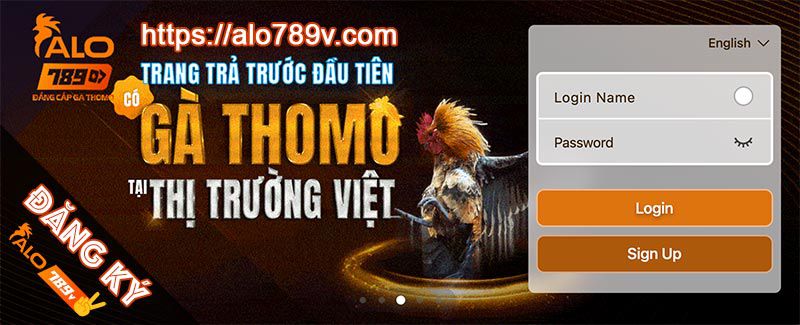 Những tính năng độc đáo của dịch vụ trực tuyến cấp C54 - C54